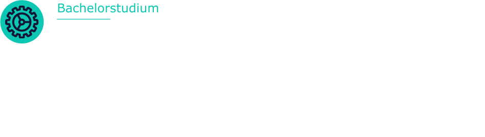 Bachelorstudium Maschinenbau, Verfahrens- Energie- und Umwelttechnik  Bachelor of Engineering  Hochschule Hannover